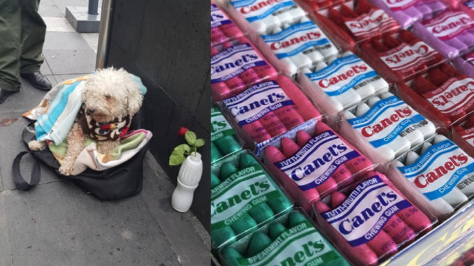Hombre que vende chicles para alimentar a su perro