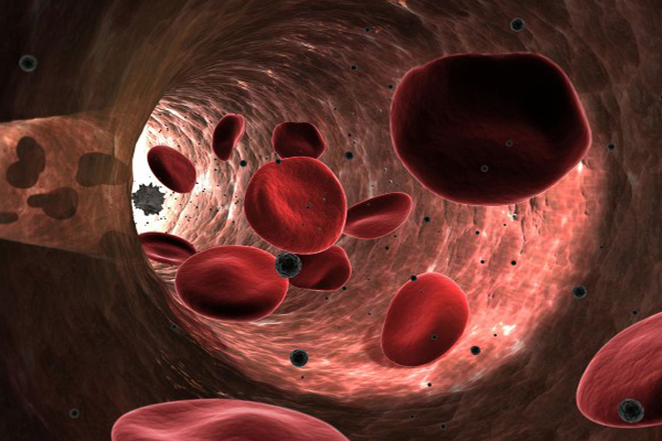 5 tipos de cáncer se pueden prevenir con años de anticipación realizando análisis de sangre