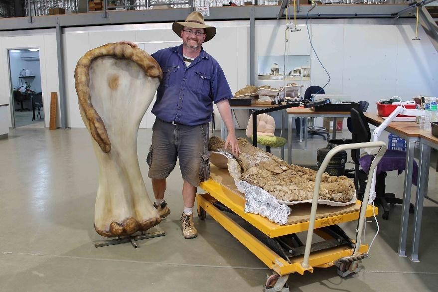 Descubren nuevo dinosaurio en Australia